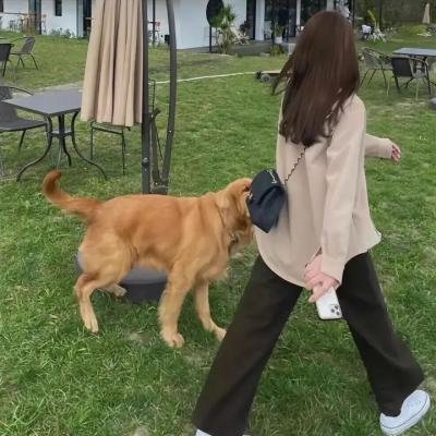 星际大逃亡
